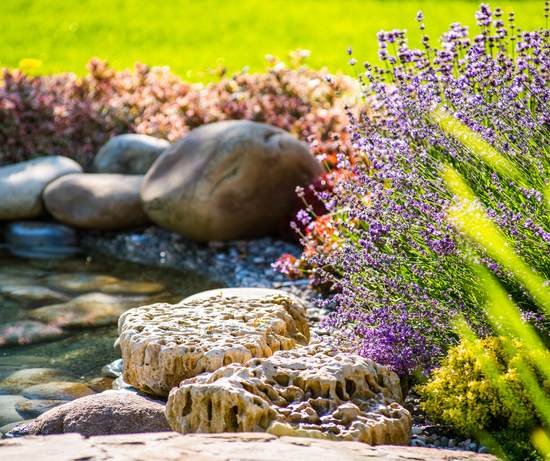 6 Quick Tips to Improve Your Landscaping